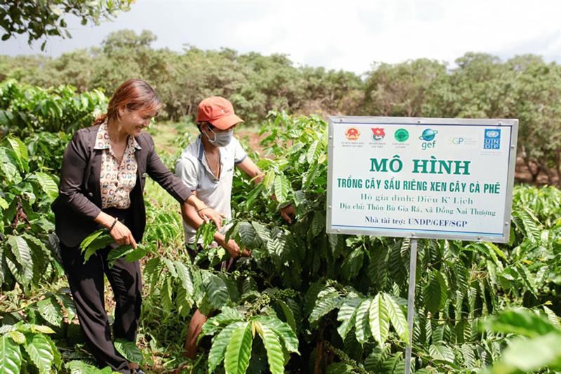 Bà con nông dân xã Đồng Nai Thượng được hướng dẫn kỹ thuật để chuyển đổi giống cây trồng