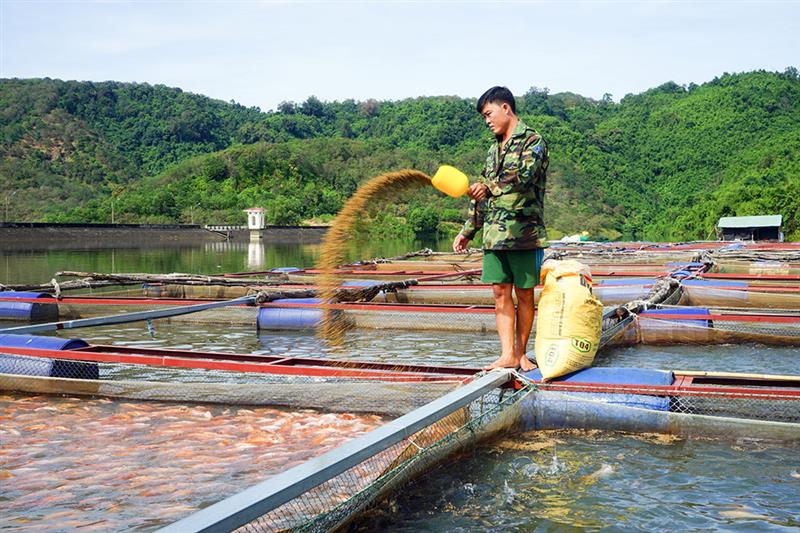 Mô hình nuôi cá nước ngọt chất lượng cao ở xã Gia Viễn. Ảnh: L.Hoa