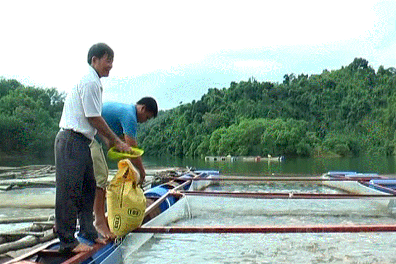 Mô hình nuôi cá lồng trên lòng hồ Đắk Lô (xã Gia Viễn) đang mang lại thu nhập cao cho người dân Cát Tiên. Ảnh: T.Ðồng